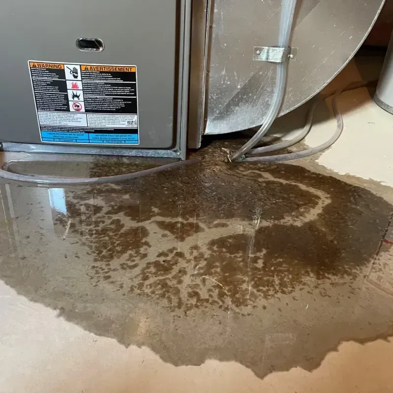 Appliance Leak Cleanup in Nevada, TX